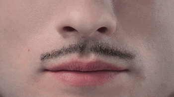 giphy.gif?cid=19f5b51a63139f5bcc10e110c2a1cebe48e5e88de1f91da0&rid=giphy.gif