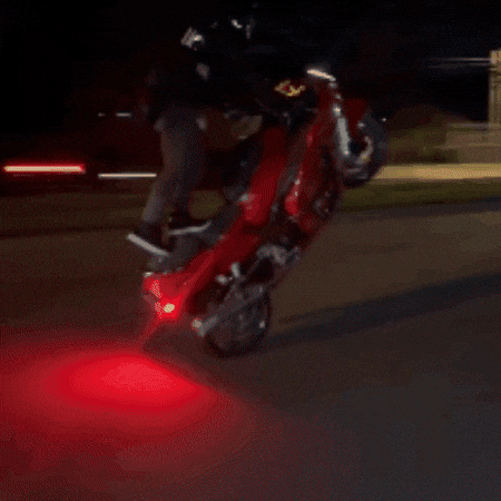Grom GIF by Onlywheelies
