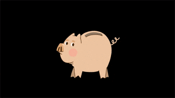 Eisprung work money pig save GIF