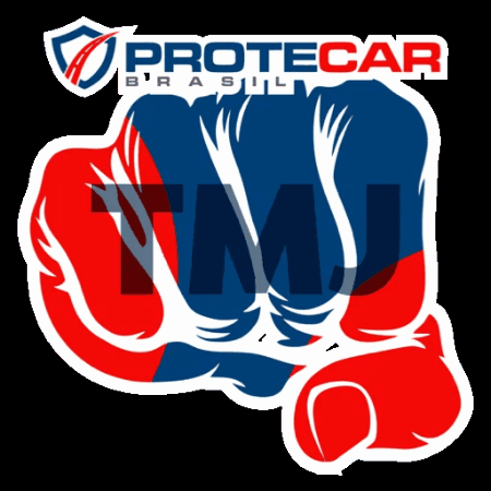 Protecar Brasil GIF