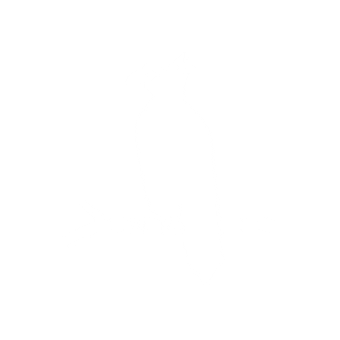 Argentina Mate Sticker by Susurro Nativo