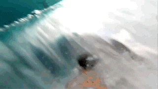 Sports gif. Male surfer rides a curling wave that threatens to collapse on him at any moment as the camera hovers behind him, our view occasionally entering the wave above the surfer.