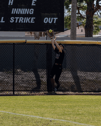 Softball Panthers GIF by Florida Tech Athletics