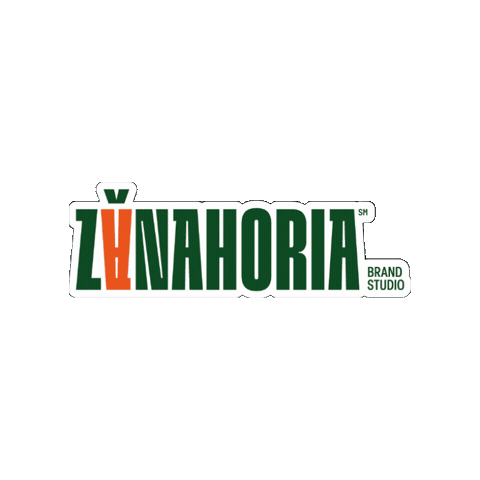 Strategy Nicaragua Sticker by ZanahoriaStudio