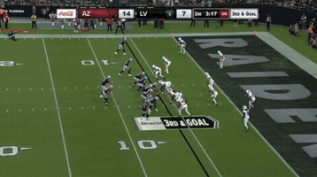 Las Vegas Raiders GIF