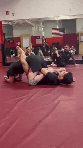 New Asgard GIF by New Asgard Martial Arts