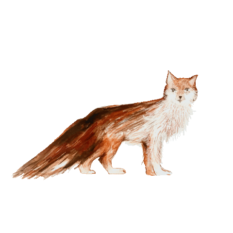 Animated Sticker