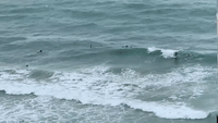 Puerto Rico Surfers Enjoy Large Waves Ahead of Tropical Storm Laura