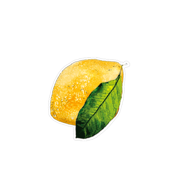 Cafe Sticker by ippacafeprague