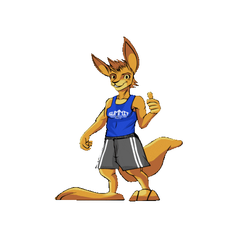 summit tobalaba Sticker