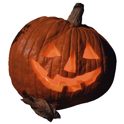 Trick Or Treat Halloween Sticker by Hunter Preston