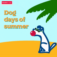Palm Tree Dog GIF by Kloeckner Metals Palm Tree Dog GIF by Kloeckner Metals