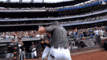 Happy Ny Mets GIF by New York Mets