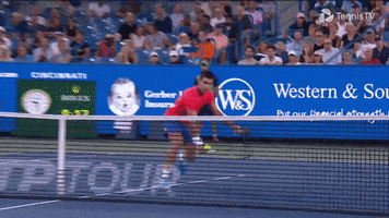 Cant Believe It Atp Tour GIF by Tennis TV