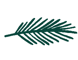 Christmas Greenery Sticker by Christy Sports