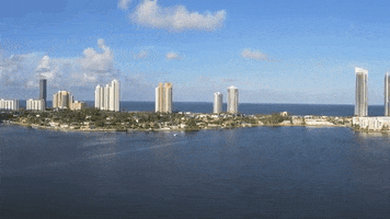 LGD Branding + Marketing GIF