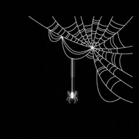 Spider Web Animation GIF by Molang - Find & Share on GIPHY