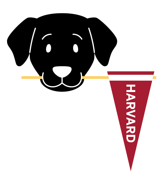 Sasha GIF by Harvard Alumni Association