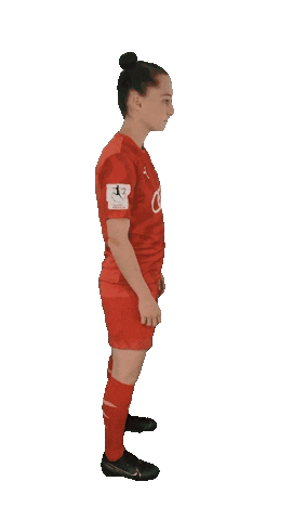 Schanzerinnen Sticker