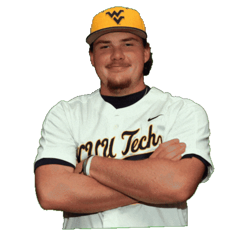 Baseball Sticker by WVU Tech Golden Bears