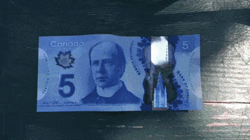 Five Dollars Canadian Money GIF by constant