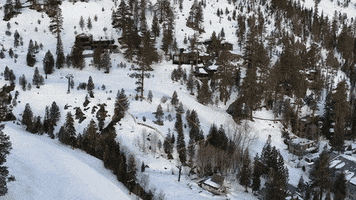 Tahoe Mountain Realty GIF