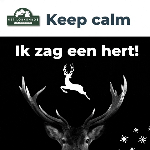 Spotten Keep Calm GIF by Vakantieoord Het Lorkenbos
