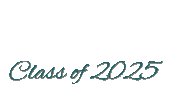 Bgsu School Of Nursing Sticker by BGSUnursing