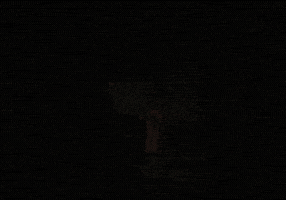 Djpony GIF