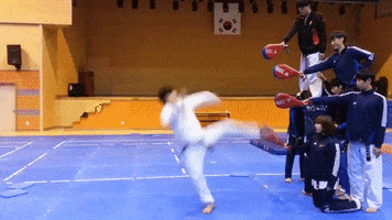 taekwondo GIF by Digg