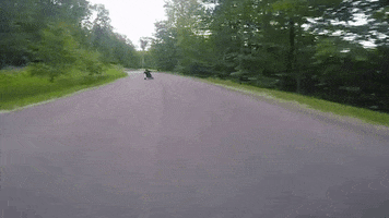vertigopros michigan trike drift trike trikes GIF