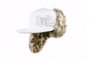 Dogearhat GIF by Toppaldn