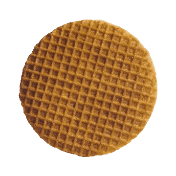 Netherlands Maastrichtuniversity Sticker by CES Maastricht