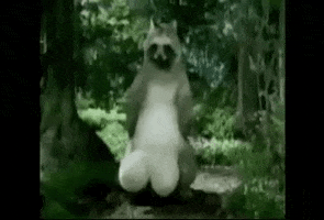 Huevos GIF