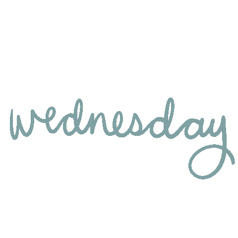 Days Of The Week Wednesday Sticker by sanne