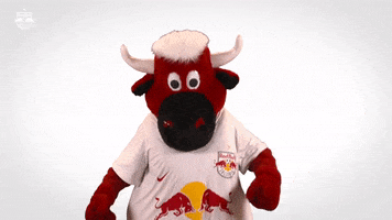 Celebrate Red Bull GIF by FC Red Bull Salzburg
