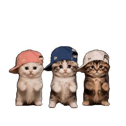 Dance Cat Sticker