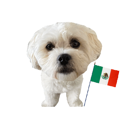 Mexico Paco Sticker