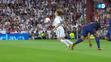 acc  GIF
