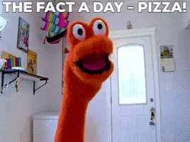 Happy Cheese Pizza GIF by The Fact a Day