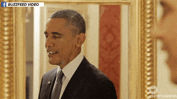 buzzfeed video news GIF by NowThis 