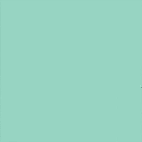 Eat Orange County GIF by Dizzy Bird