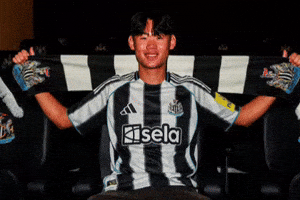 Newcastle GIF