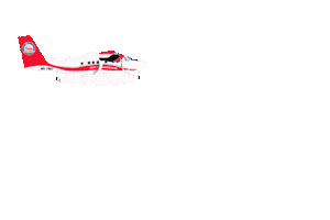 transmaldivian Sticker