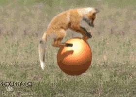 200.gif