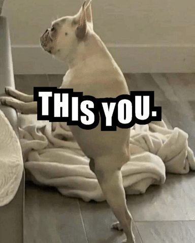 Weallwinlasvegas GIF