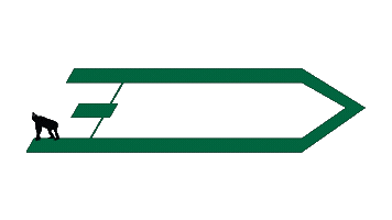 Darmstadt Leading The Way Sticker by VWI ESTIEM Darmstadt