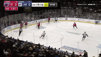 Nice Save GIF by SCStingrays