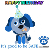 Happy Birthday GIF by SAFE Inc