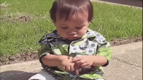 Baby Eating GIF by America&#39;s Funniest Home Videos - Find &amp; Share on GIPHY